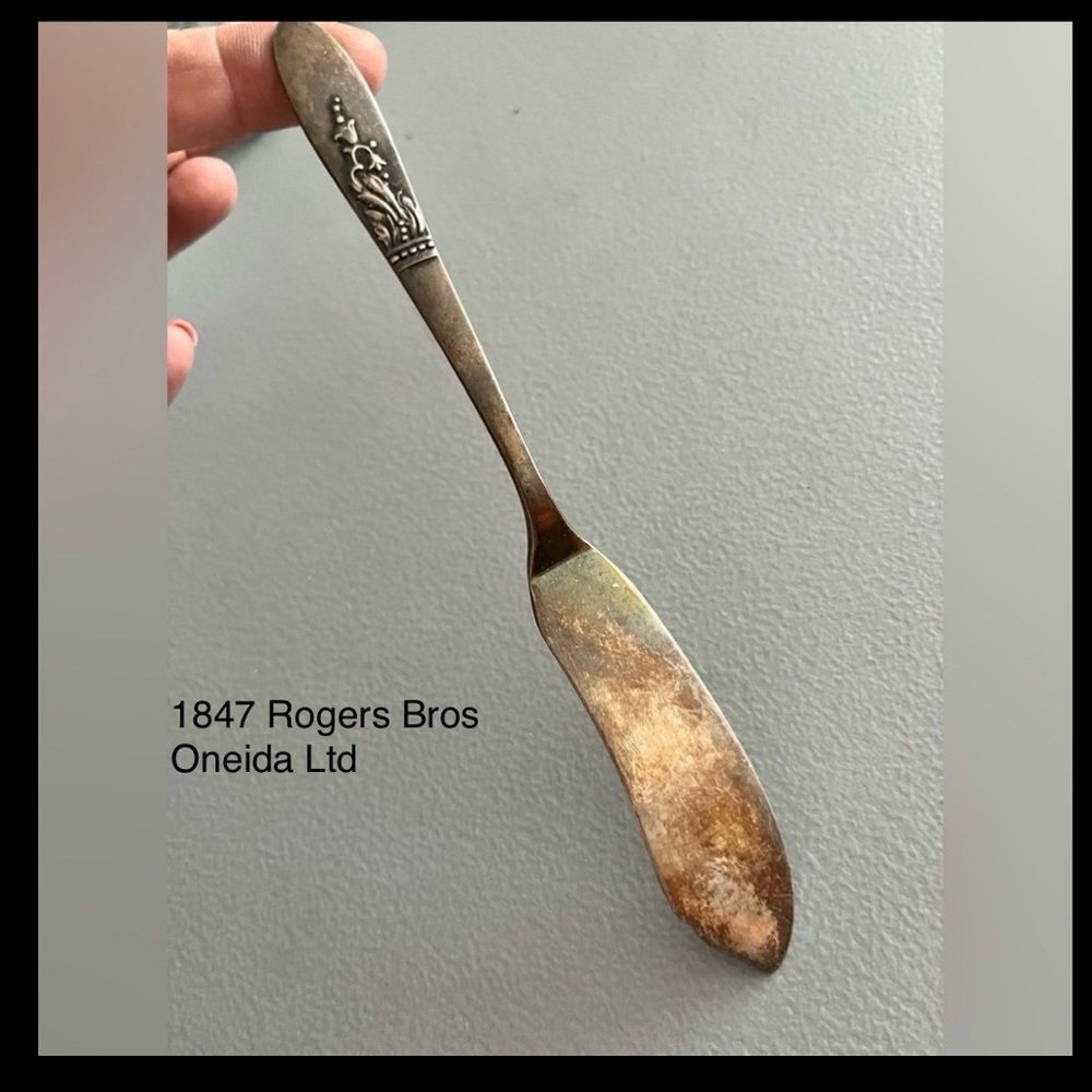 🇺🇸 Vintage Oneida 1847 Rogers Bros Stainless Flat Butter Knife – Floral Pattern